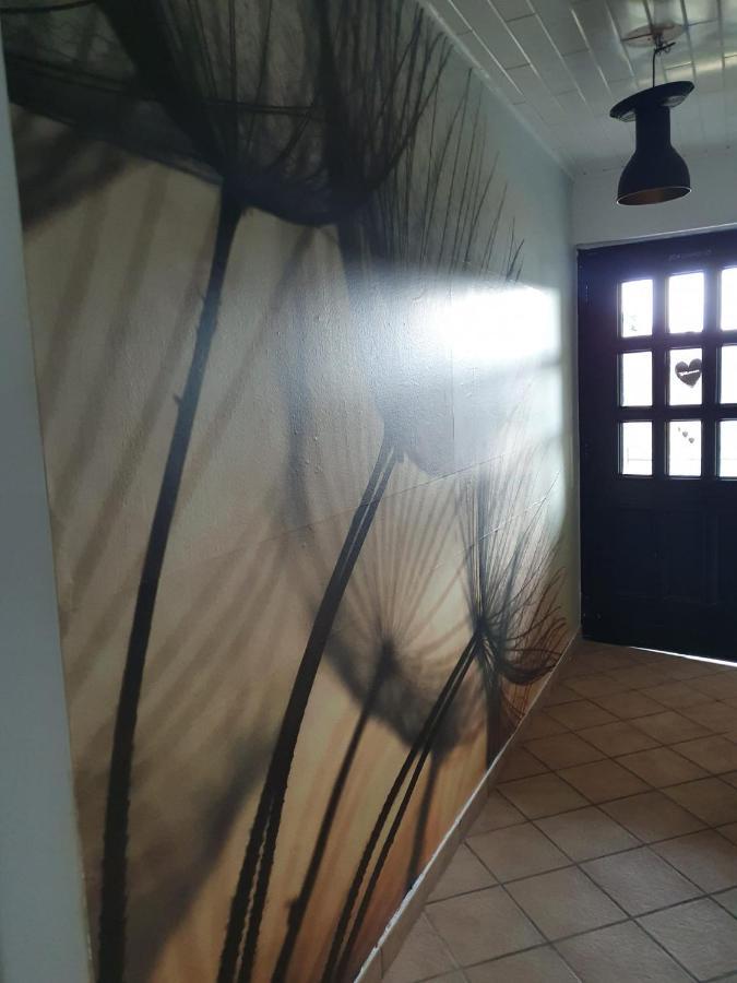Schoene Aussicht Nettersheim Dış mekan fotoğraf